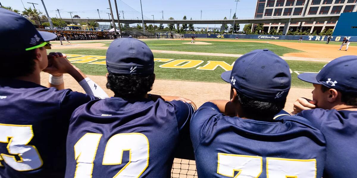 Jugadores de béisbol observando un partido de verano