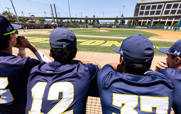 Jugadores de béisbol observando un partido de verano